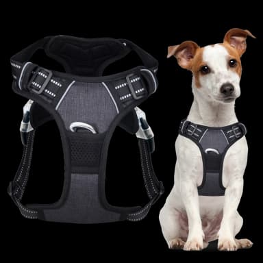 PawSafe No Pull Dog Harness